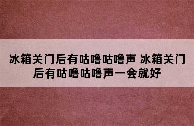 冰箱关门后有咕噜咕噜声 冰箱关门后有咕噜咕噜声一会就好